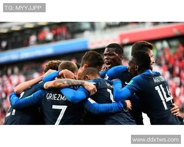 法国足球队白人球员名单分析及其在球队中的重要角色